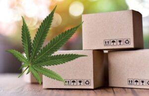 Affordable Custom CBD Boxes & Wholesale Packaging Solutions