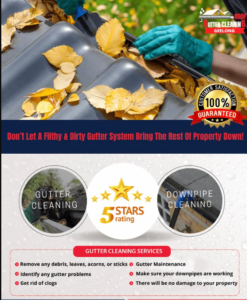 Gutter Cleaning Geelong