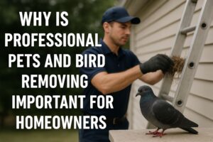 Pets And Bird Removing
