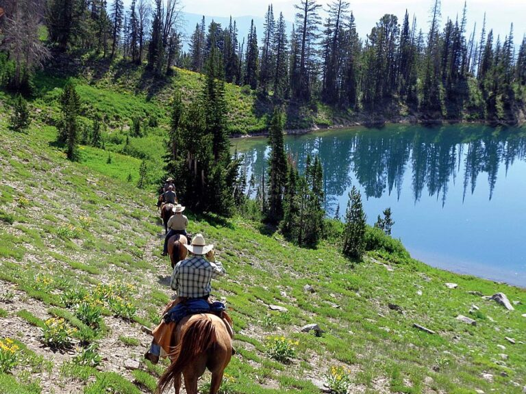 Jackson Hole horseback riding