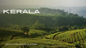 Kerala India Tours: Nature, Culture, and Coastlines Combined