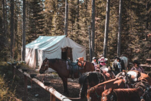 jackson hole horseback riding