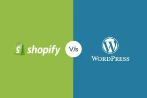 Shopify & WordPress Specialists