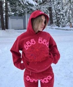 Pink Spider Hoodie