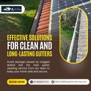 Gutter Cleaning Bentleigh