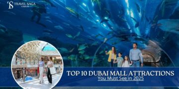 Dubai Mall Attractions