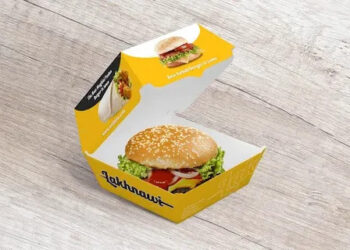 Small and Large Orders Comparison of Custom Burger Boxes
