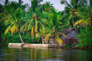 kerala tour packages for couple