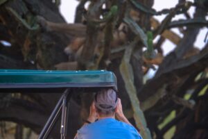 jungle adventure tours peru | Travel | Tours