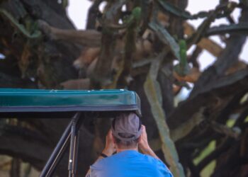 jungle adventure tours peru | Travel | Tours