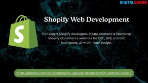 Shopify Web Development