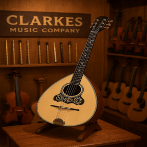 How to Choose the Right Dublin Music Shop for Bouzouki Musical Instruments