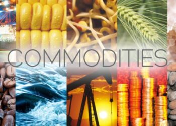 Best commodity trading apps for crude oil MCX traders with real-time charts and seamless trading.