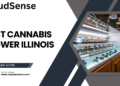 best cannabis flower illinois
