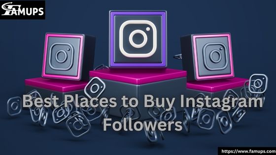 Best Places to Buy Instagram Followers