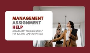 Management Assignment Help for Building Leadership Skills