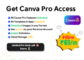 Canva Pro subscription