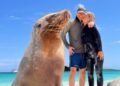 How Cruises Offer Both Relaxation and Exploration