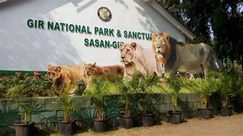 Gir National Park Wildlife Tour Package: Roar into the Wild Heart of Gujarat