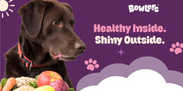 guide-to-holistic-dogcare-grooming
