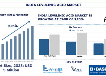 India Levulinic Acid Market