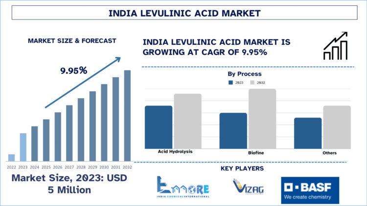 India Levulinic Acid Market