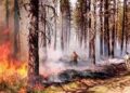 The Blueprint to Survive: Dragonslayers Founder is on a Mission to EmpowerAmericans in Wildfire Defense