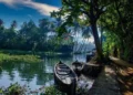 Kerala Tour Packages: Your Gateway to God’s Own Country