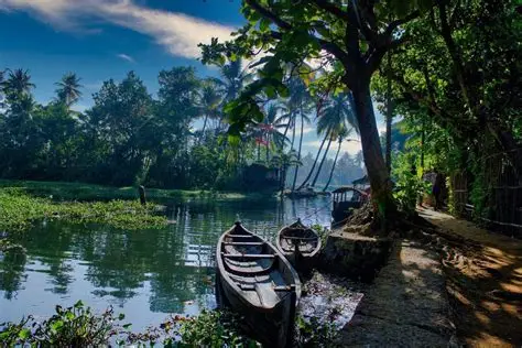 Kerala Tour Packages: Your Gateway to God’s Own Country