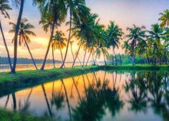 Kerala Tour Packages: A Journey Through India’s Tropical Paradise